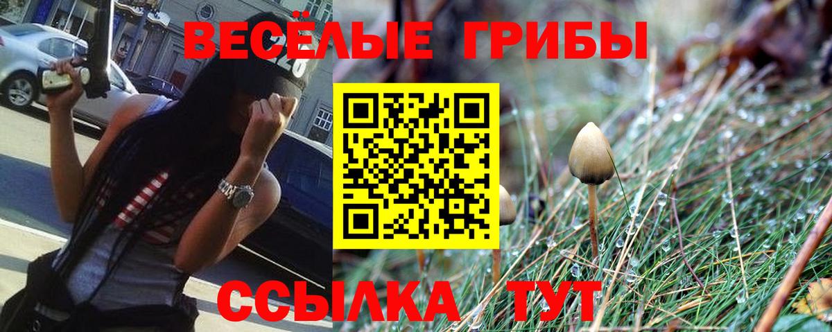 Псилоцибиновые грибы прущие грибы Маркс